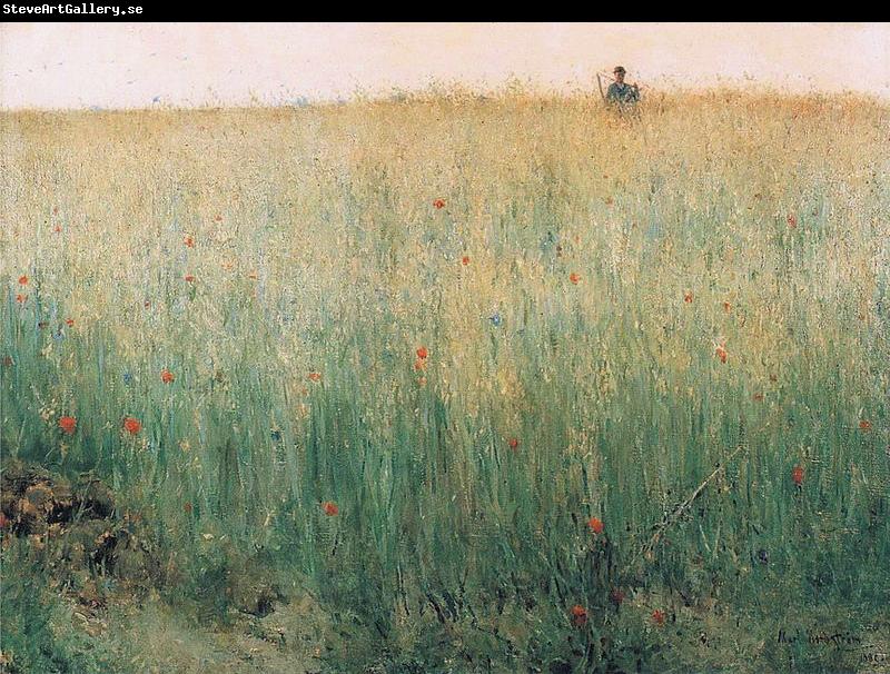 Karl Nordstrom Oat Field, Grez